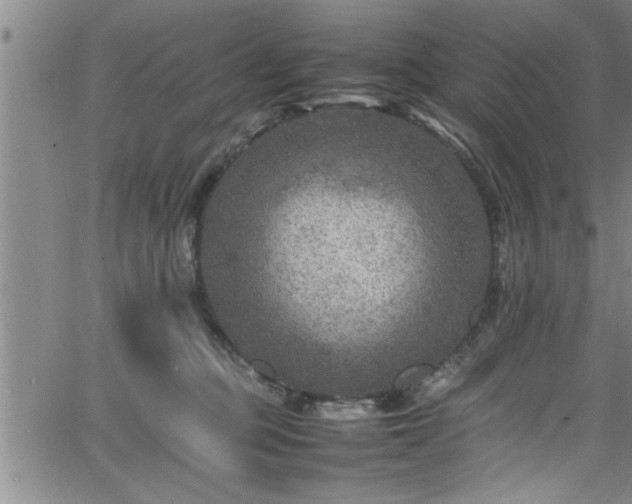 X0000065980373200603061220