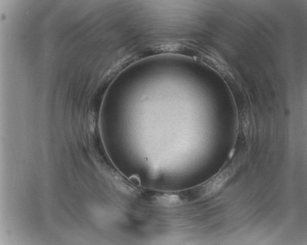 X0000065980374200603061220