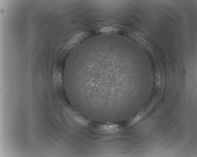 X0000065980375200603061220