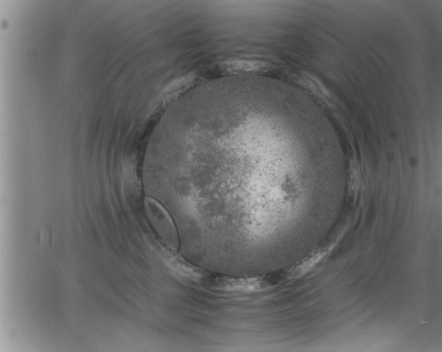 X0000065980377200603061220