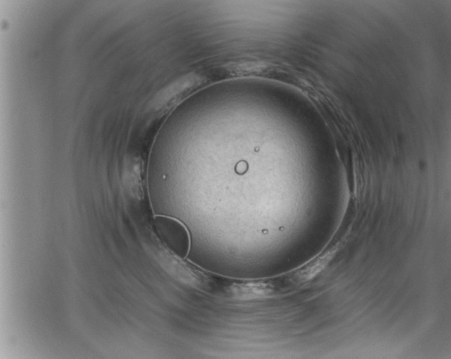 X0000065980378200603061220