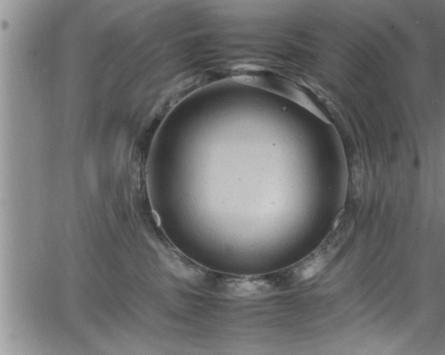 X0000065980379200603061220