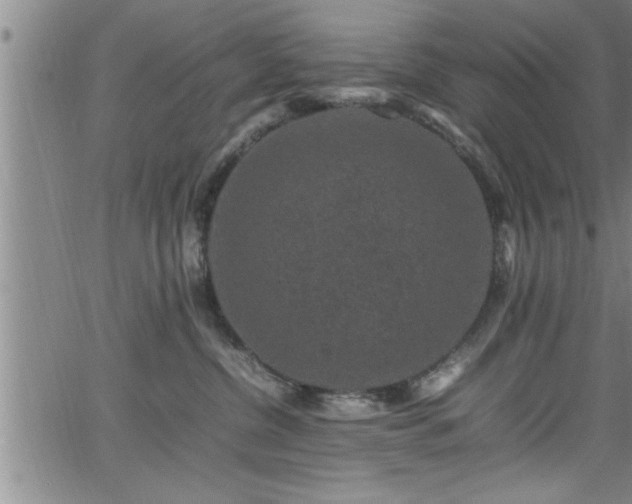 X0000065980380200603061220