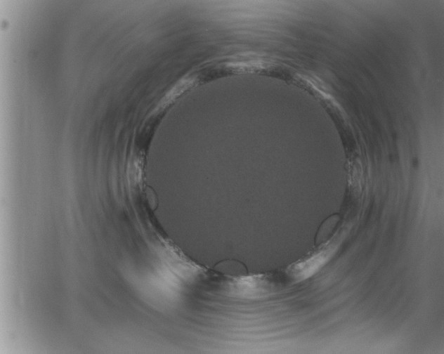 X0000065980382200603061220