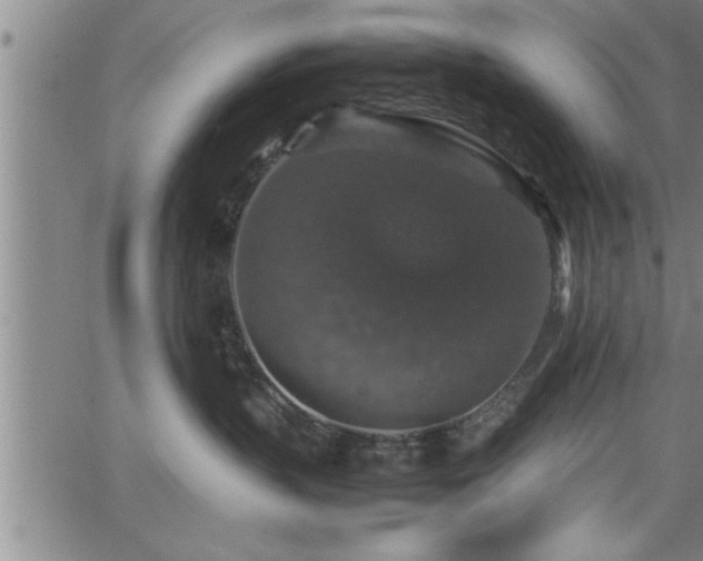 X0000065980383200603061220