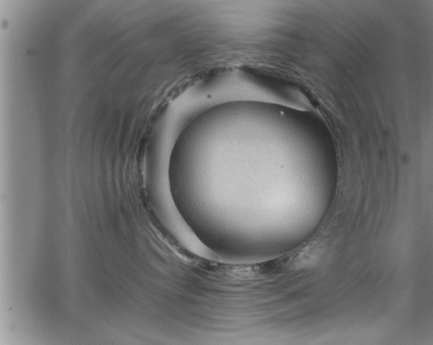 X0000065980384200603061220