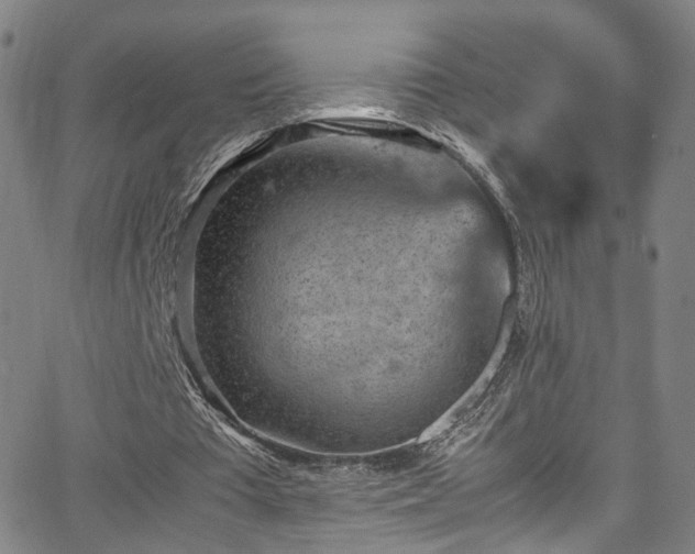 X0000065980385200603061220