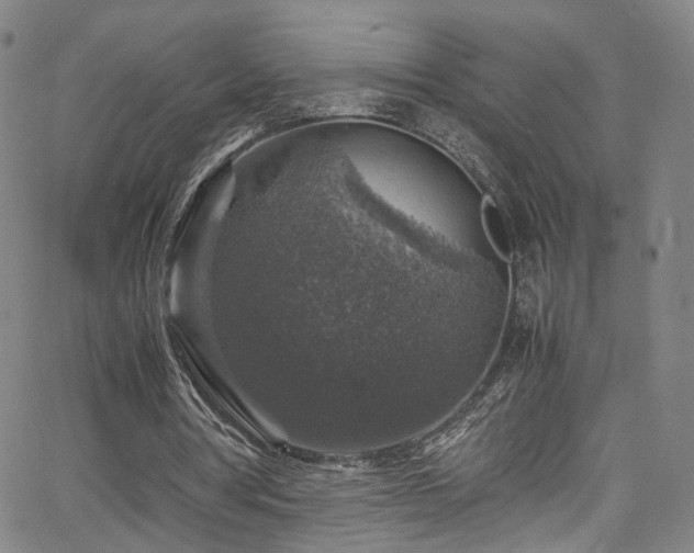 X0000065980386200603061220