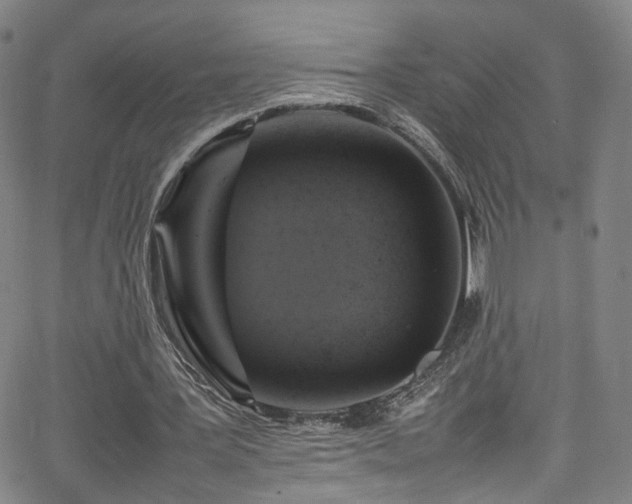 X0000065980387200603061220