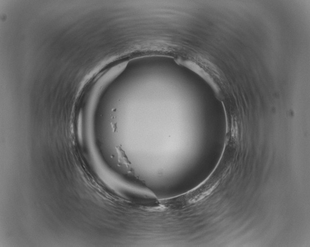 X0000065980388200603061220