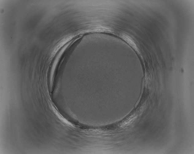 X0000065980389200603061220