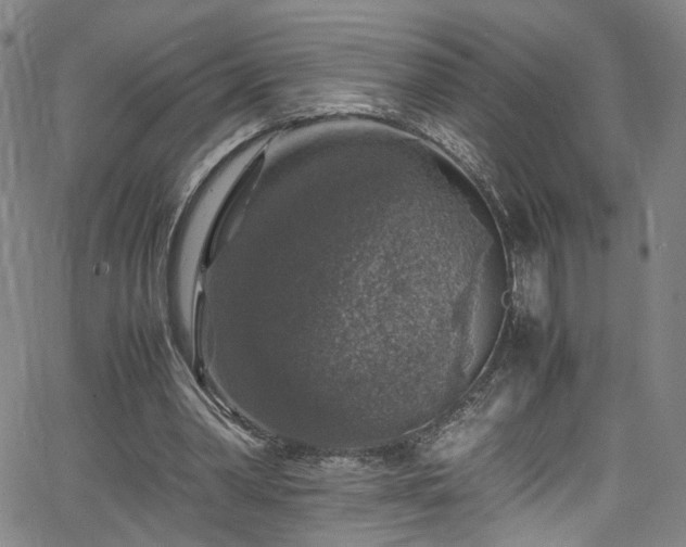 X0000065980390200603061220