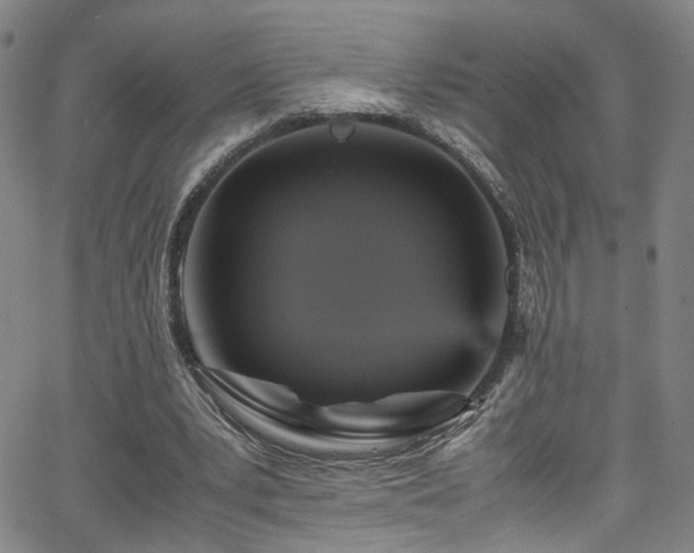 X0000065980391200603061220