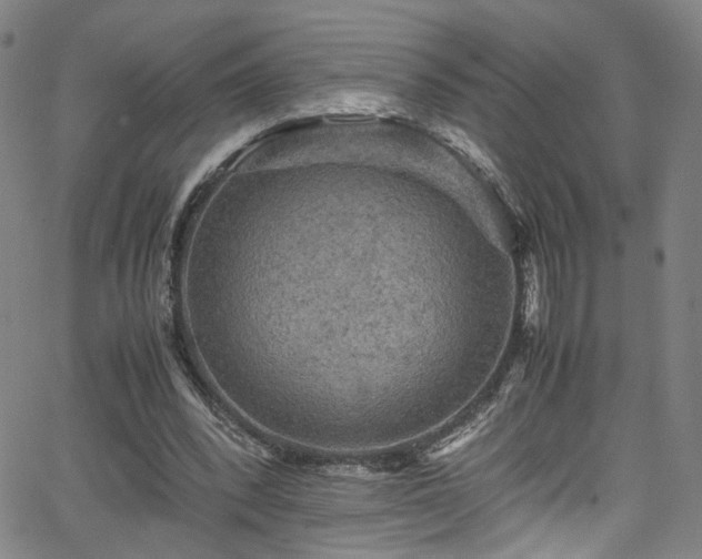 X0000065980392200603061220