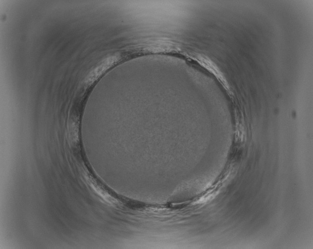 X0000065980393200603061220