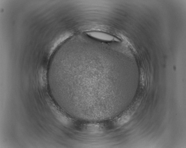 X0000065980394200603061220