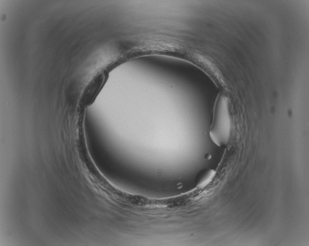 X0000065980395200603061220