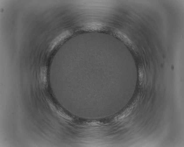 X0000065980396200603061220