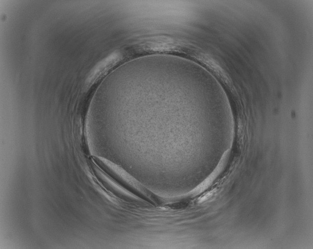 X0000065980397200603061219