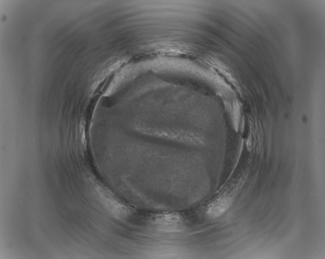 X0000065980398200603061219