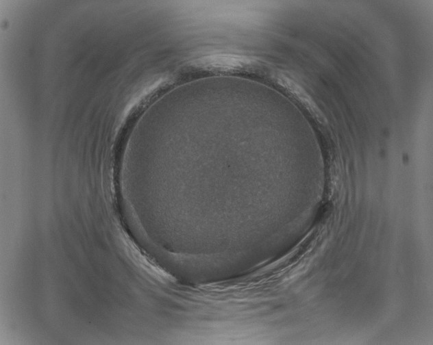 X0000065980399200603061219