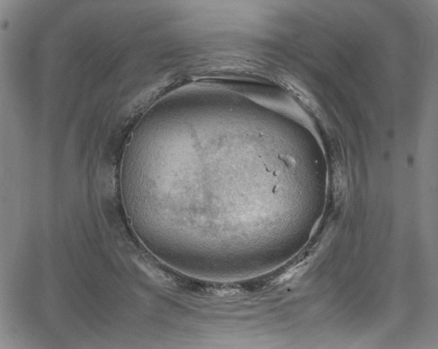 X0000065980401200603061219