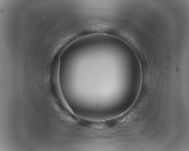 X0000065980403200603061219