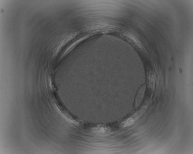 X0000065980404200603061219