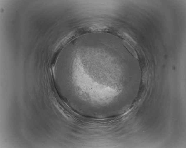 X0000065980405200603061219