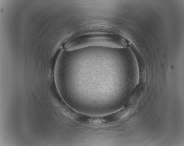 X0000065980407200603061219