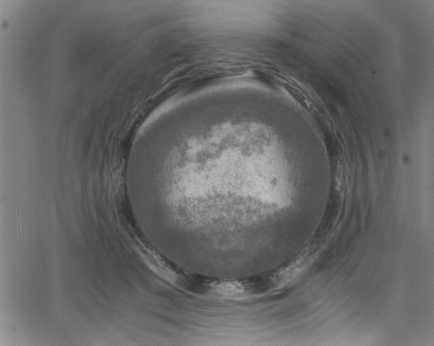 X0000065980409200603061219