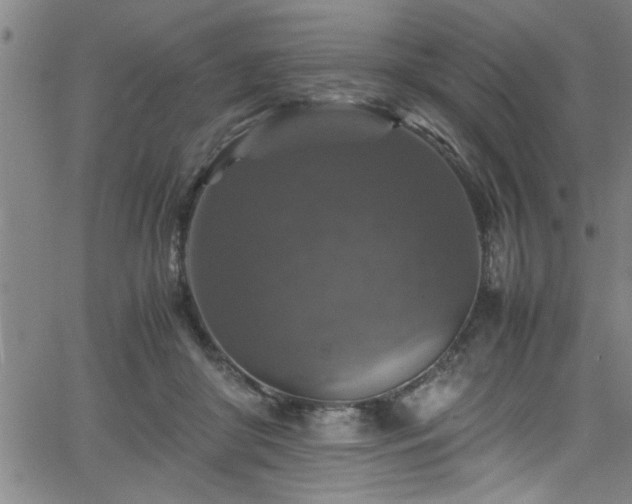 X0000065980410200603061219