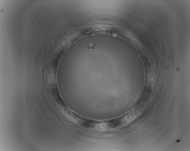 X0000065980411200603061219