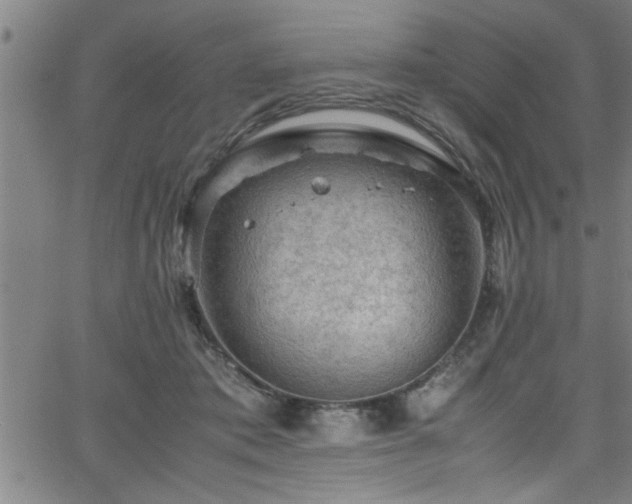 X0000065980413200603061219