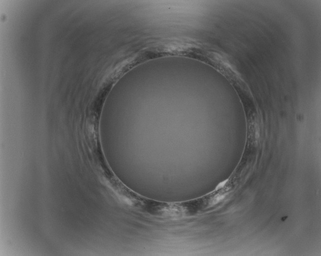 X0000065980415200603061219