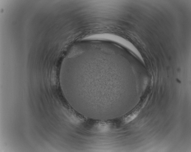 X0000065980416200603061219