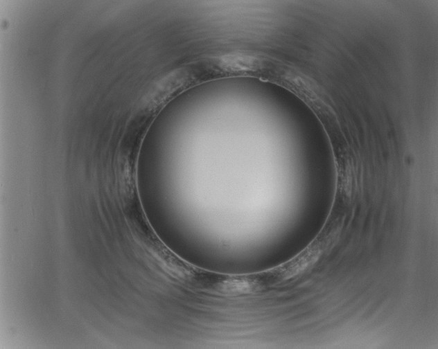 X0000065980418200603061219