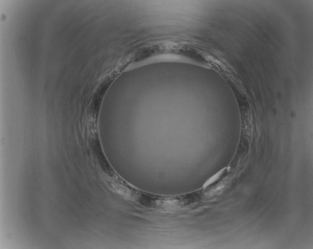 X0000065980419200603061219