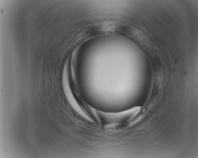 X0000065980421200603061219