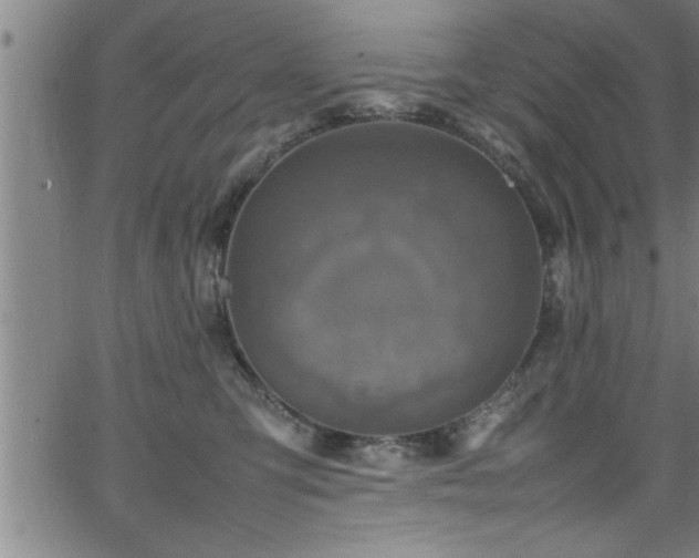 X0000065980423200603061219