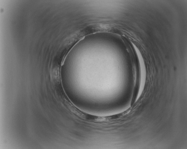 X0000065980425200603061219