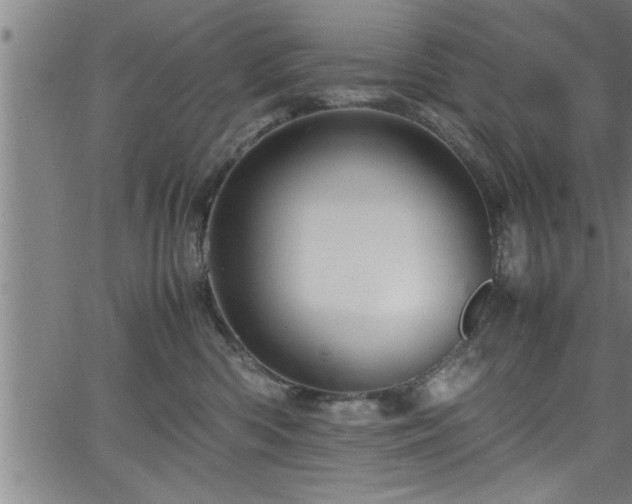 X0000065980426200603061219