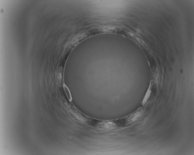 X0000065980427200603061219