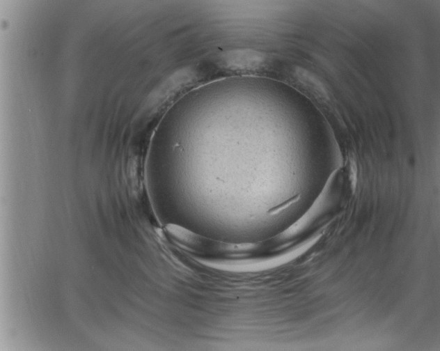 X0000065980428200603061219