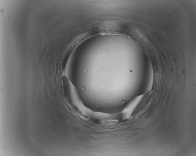 X0000065980429200603061219