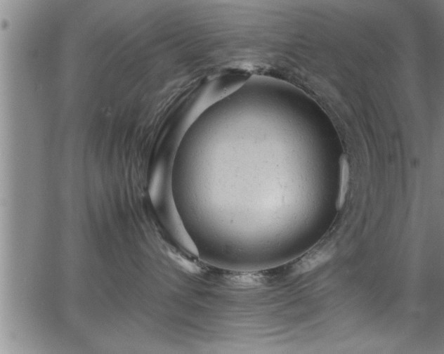 X0000065980432200603061219