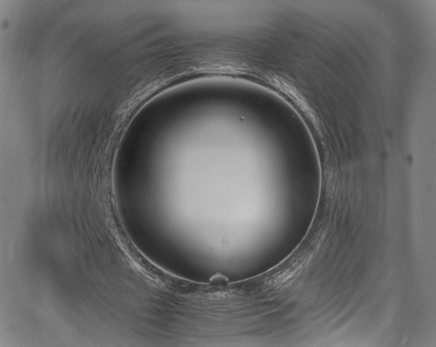 X0000065980433200603061218