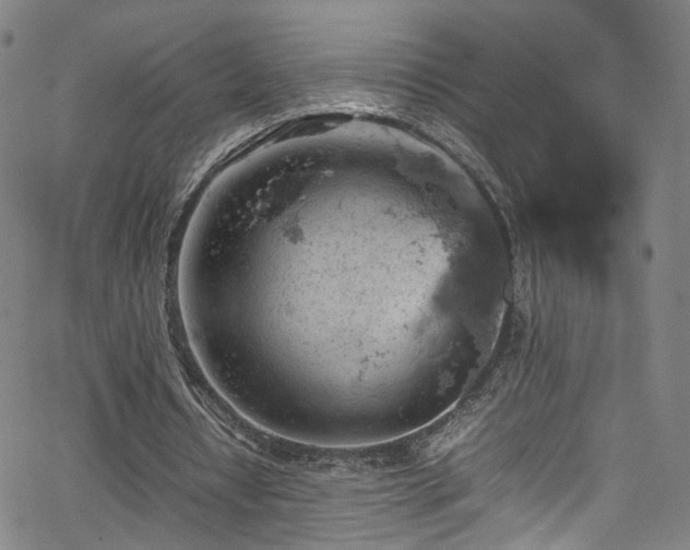 X0000065980434200603061218