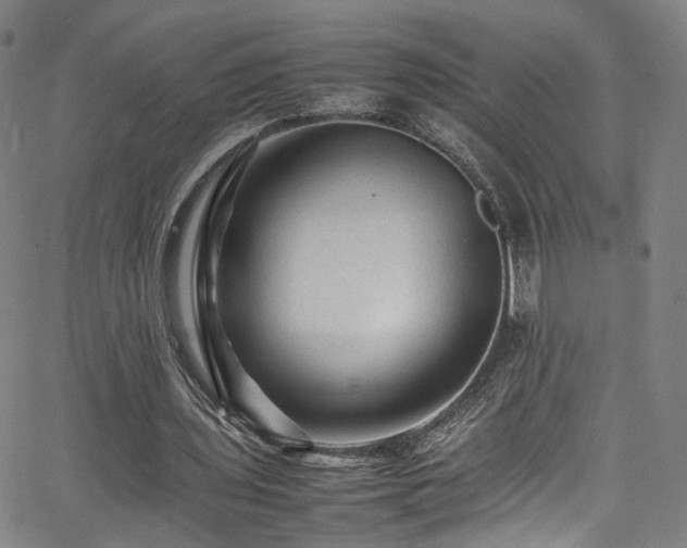 X0000065980435200603061218