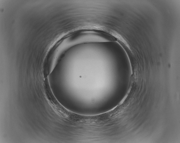 X0000065980436200603061218